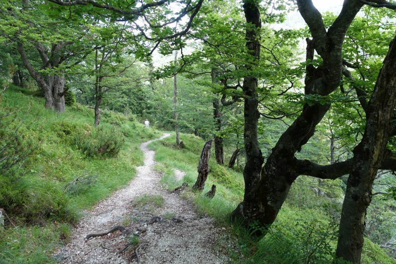 Eckenberg - Ameisberg - Rowank - Esterberg-Alm - Httlsteig
