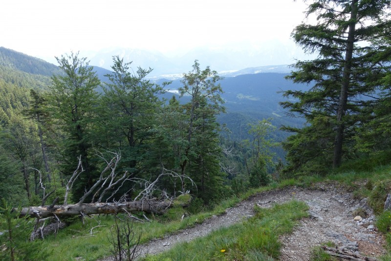 Eckenberg - Ameisberg - Rowank - Esterberg-Alm - Httlsteig