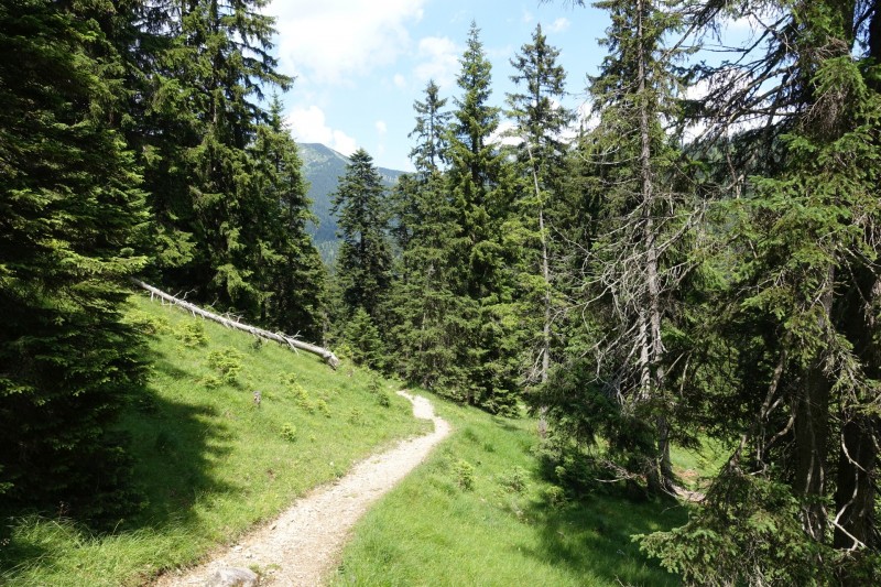 Eckenberg - Ameisberg - Rowank - Esterberg-Alm - Httlsteig