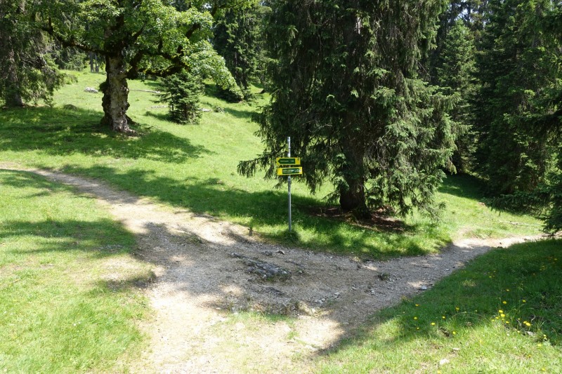 Eckenberg - Ameisberg - Rowank - Esterberg-Alm - Httlsteig