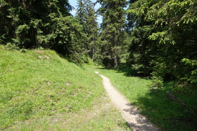Eckenberg - Ameisberg - Rowank - Esterberg-Alm - Httlsteig
