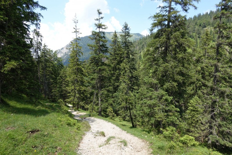 Eckenberg - Ameisberg - Rowank - Esterberg-Alm - Httlsteig