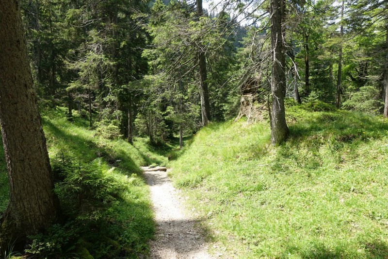 Eckenberg - Ameisberg - Rowank - Esterberg-Alm - Httlsteig