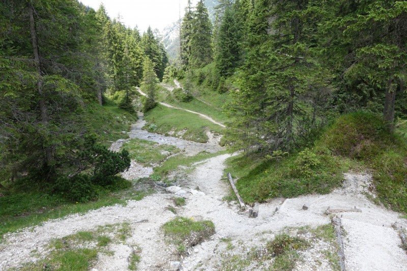 Eckenberg - Ameisberg - Rowank - Esterberg-Alm - Httlsteig