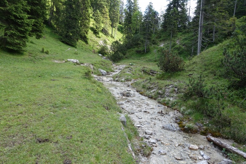 Eckenberg - Ameisberg - Rowank - Esterberg-Alm - Httlsteig