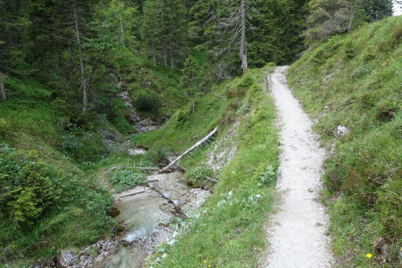 Eckenberg - Ameisberg - Rowank - Esterberg-Alm - Httlsteig