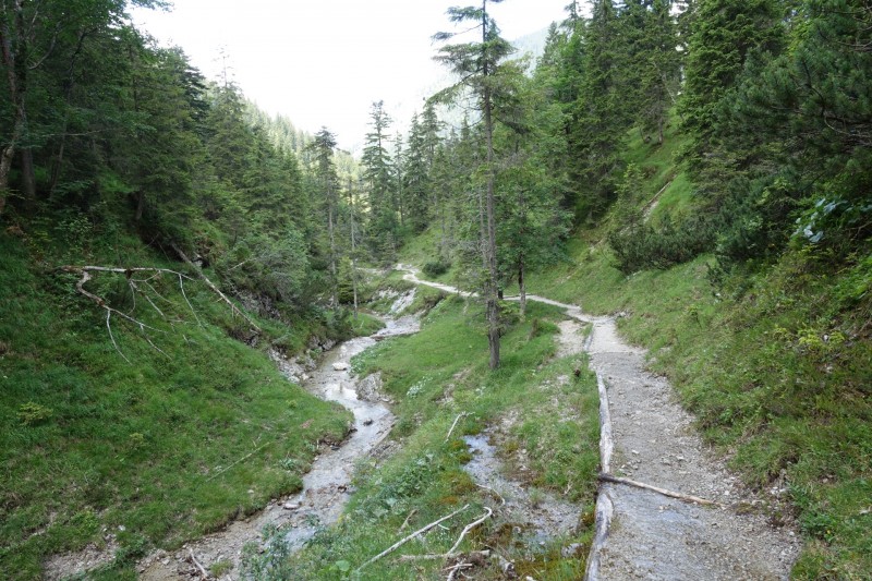 Eckenberg - Ameisberg - Rowank - Esterberg-Alm - Httlsteig