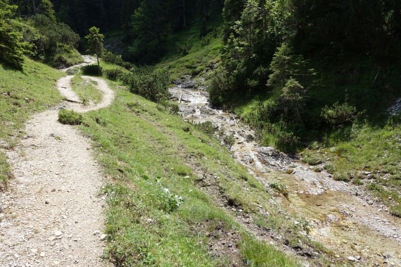 Eckenberg - Ameisberg - Rowank - Esterberg-Alm - Httlsteig