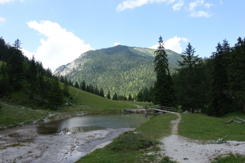 Eckenberg - Ameisberg - Rowank - Esterberg-Alm - Httlsteig
