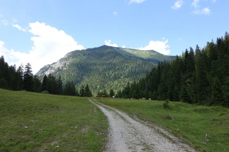 Eckenberg - Ameisberg - Rowank - Esterberg-Alm - Httlsteig