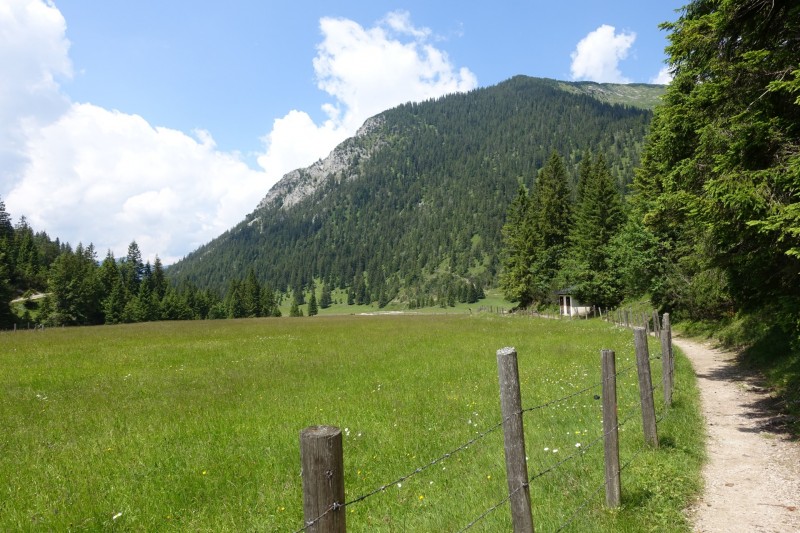 Eckenberg - Ameisberg - Rowank - Esterberg-Alm - Httlsteig