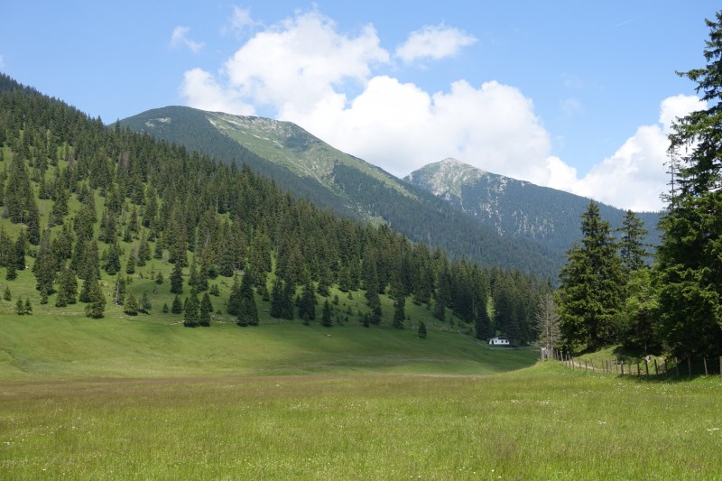 Eckenberg - Ameisberg - Rowank - Esterberg-Alm - Httlsteig