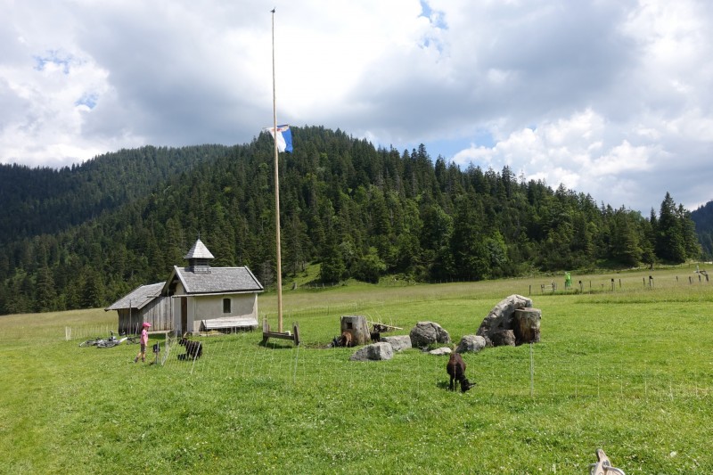 Eckenberg - Ameisberg - Rowank - Esterberg-Alm - Httlsteig