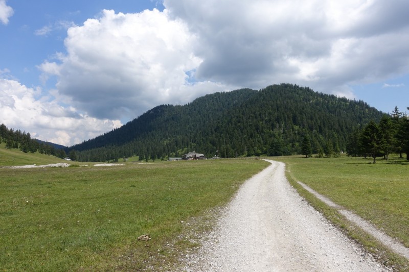 Eckenberg - Ameisberg - Rowank - Esterberg-Alm - Httlsteig