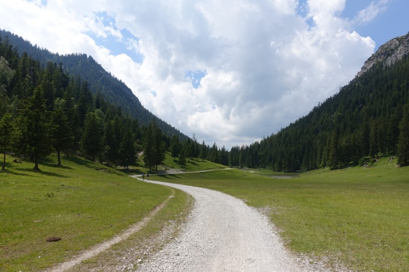 Eckenberg - Ameisberg - Rowank - Esterberg-Alm - Httlsteig