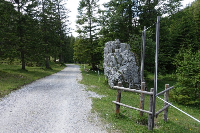 Eckenberg - Ameisberg - Rowank - Esterberg-Alm - Httlsteig