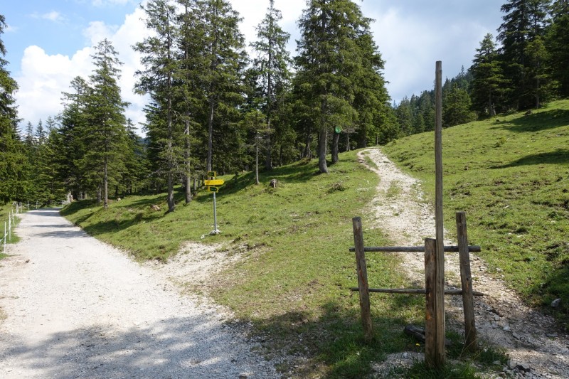 Eckenberg - Ameisberg - Rowank - Esterberg-Alm - Httlsteig