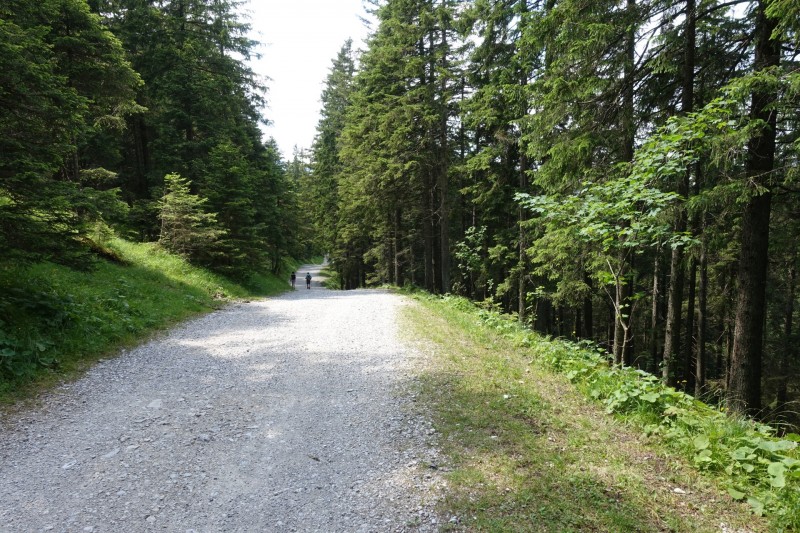 Eckenberg - Ameisberg - Rowank - Esterberg-Alm - Httlsteig