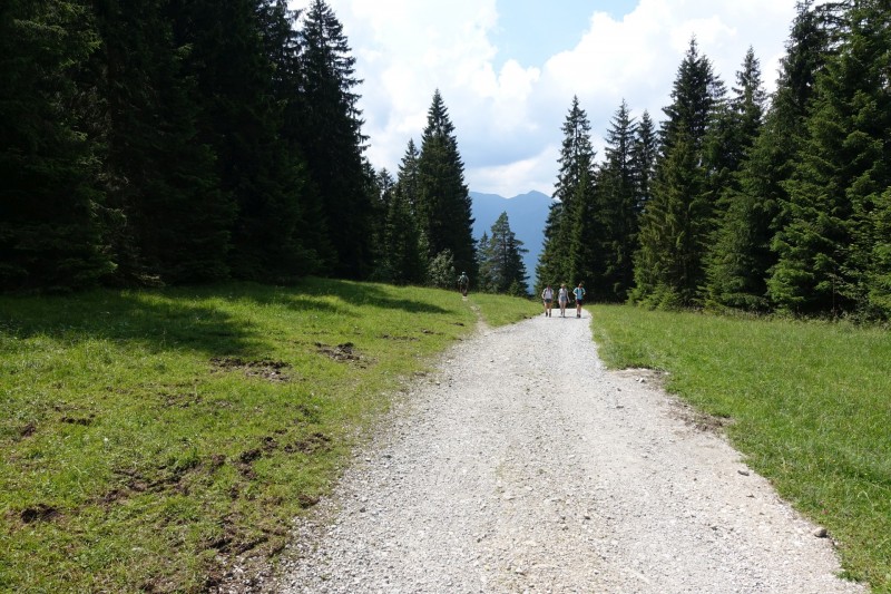 Eckenberg - Ameisberg - Rowank - Esterberg-Alm - Httlsteig