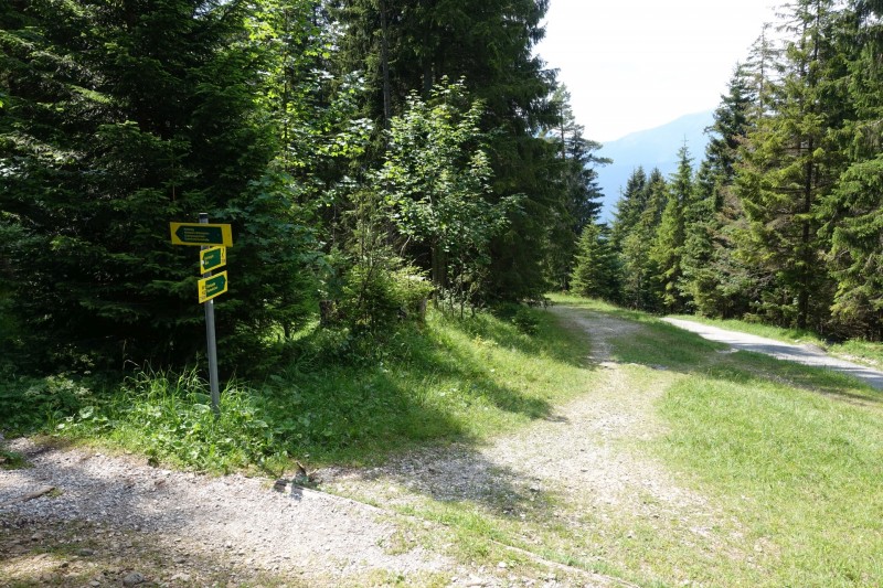 Eckenberg - Ameisberg - Rowank - Esterberg-Alm - Httlsteig