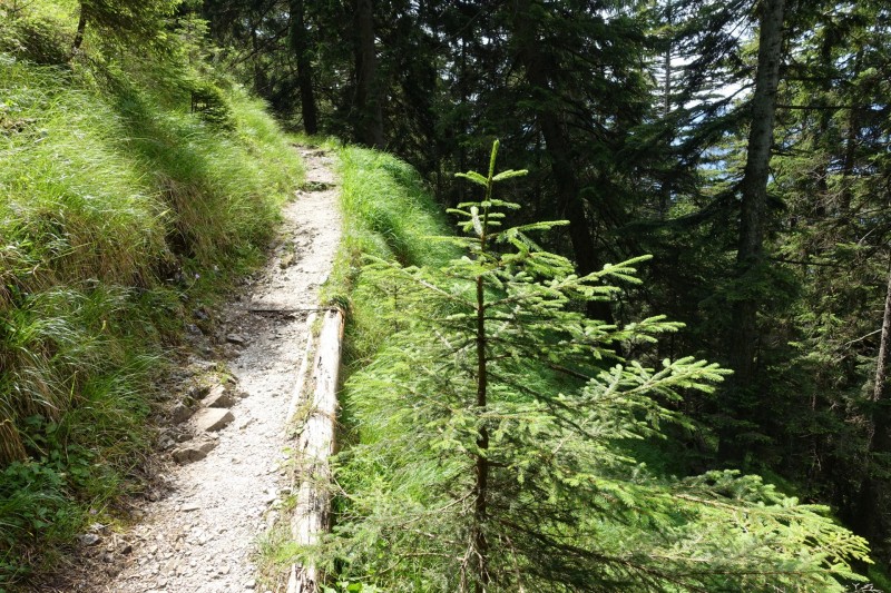 Eckenberg - Ameisberg - Rowank - Esterberg-Alm - Httlsteig