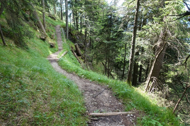 Eckenberg - Ameisberg - Rowank - Esterberg-Alm - Httlsteig
