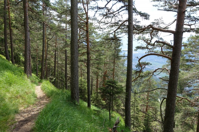 Eckenberg - Ameisberg - Rowank - Esterberg-Alm - Httlsteig