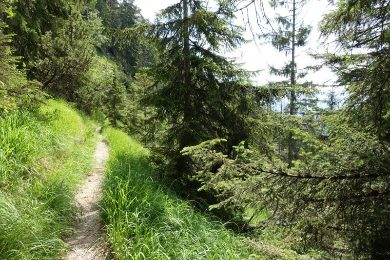 Eckenberg - Ameisberg - Rowank - Esterberg-Alm - Httlsteig