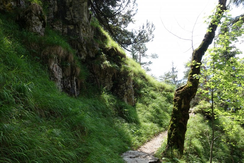 Eckenberg - Ameisberg - Rowank - Esterberg-Alm - Httlsteig