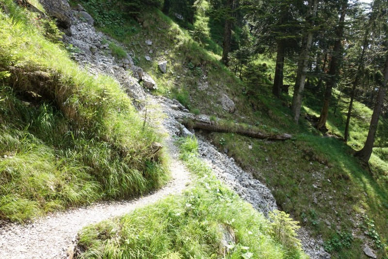 Eckenberg - Ameisberg - Rowank - Esterberg-Alm - Httlsteig