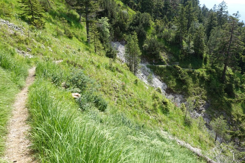 Eckenberg - Ameisberg - Rowank - Esterberg-Alm - Httlsteig