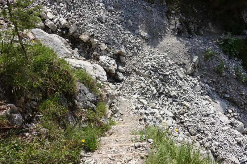 Eckenberg - Ameisberg - Rowank - Esterberg-Alm - Httlsteig