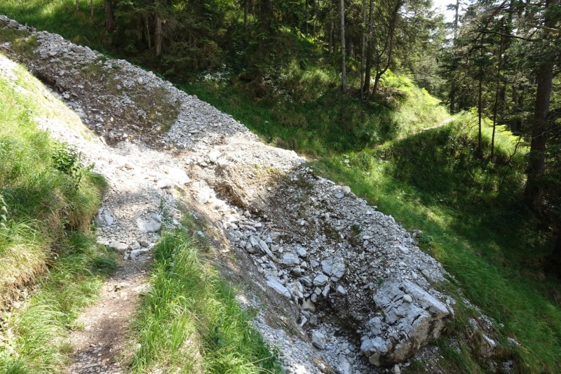 Eckenberg - Ameisberg - Rowank - Esterberg-Alm - Httlsteig