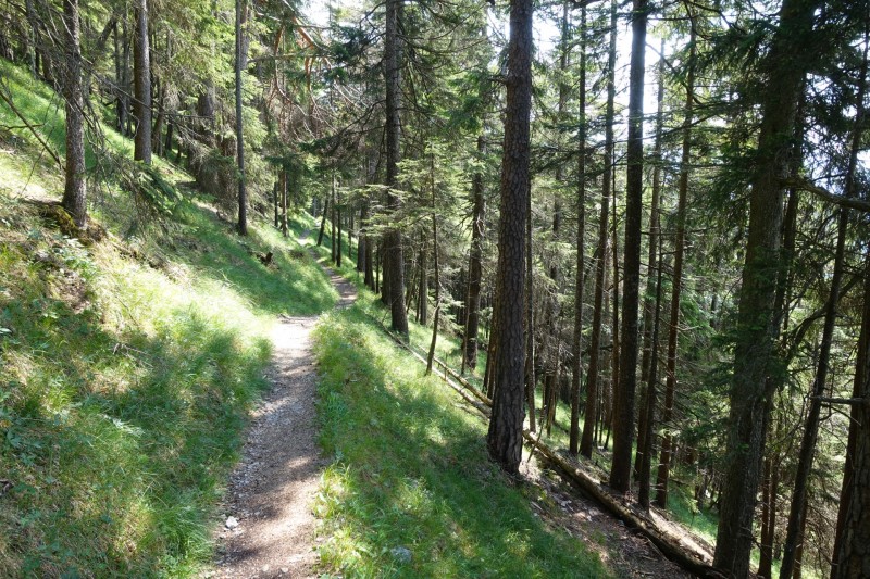Eckenberg - Ameisberg - Rowank - Esterberg-Alm - Httlsteig
