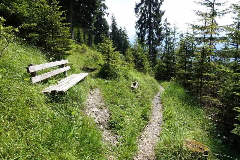 Eckenberg - Ameisberg - Rowank - Esterberg-Alm - Httlsteig