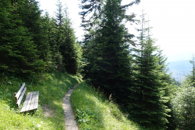 Eckenberg - Ameisberg - Rowank - Esterberg-Alm - Httlsteig