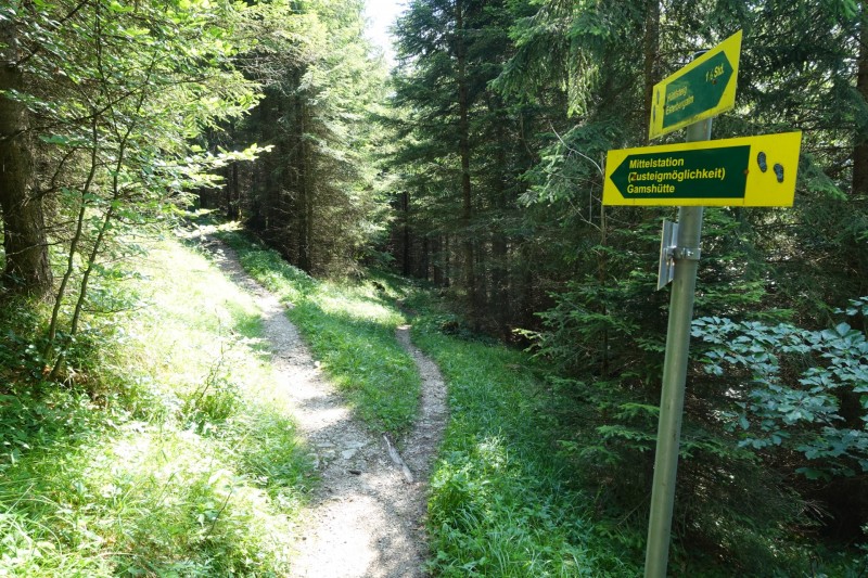 Eckenberg - Ameisberg - Rowank - Esterberg-Alm - Httlsteig
