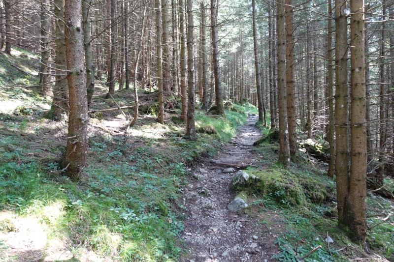 Eckenberg - Ameisberg - Rowank - Esterberg-Alm - Httlsteig