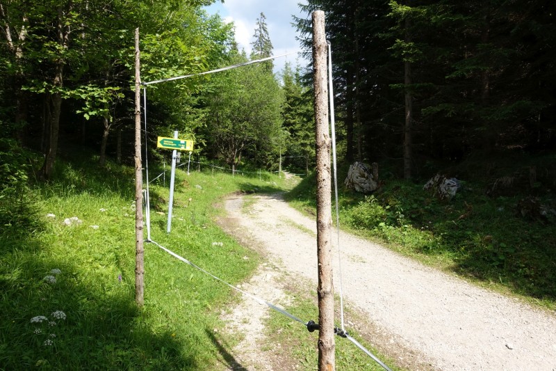 Eckenberg - Ameisberg - Rowank - Esterberg-Alm - Httlsteig