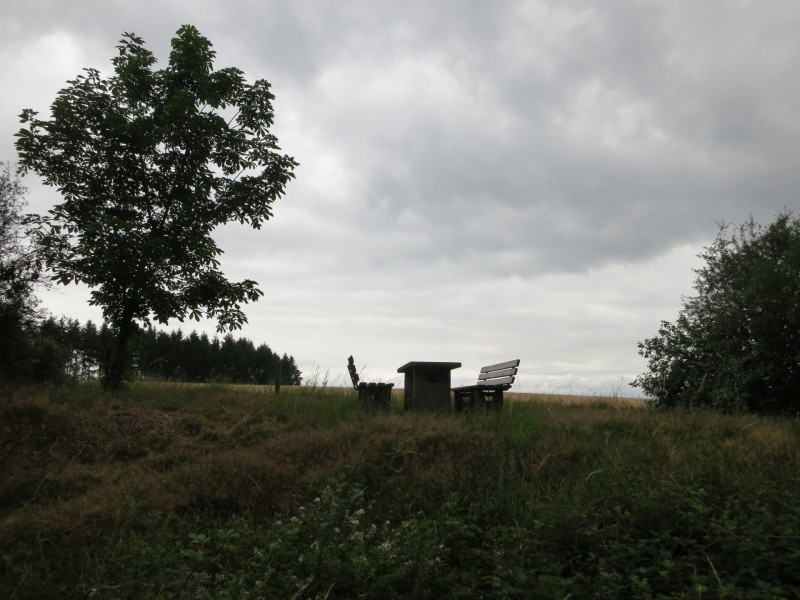 Ediger-Eller - Alf