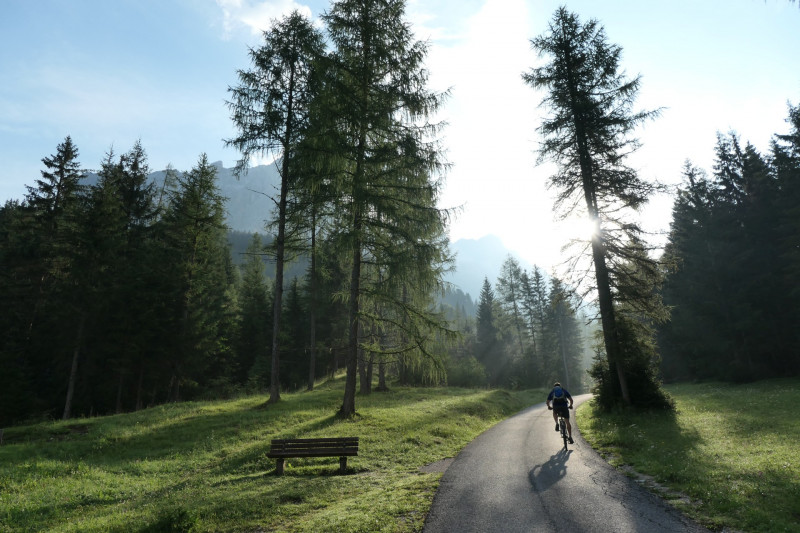 Ehrwald Almbahn - Ehrwalder Alm - Seebensee - Coburger Htte - Ehrwald Almbahn