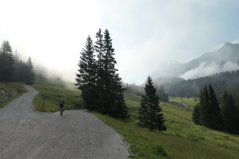 Ehrwald Almbahn - Ehrwalder Alm - Seebensee - Coburger Htte - Ehrwald Almbahn