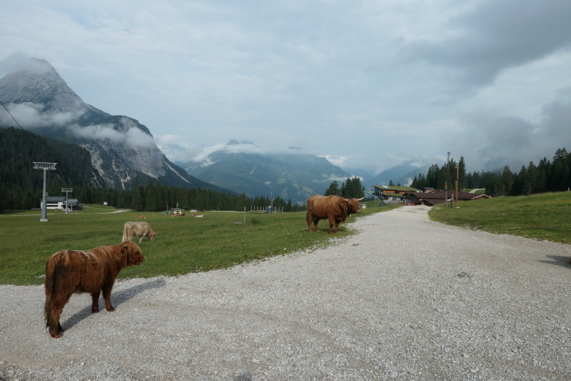 Ehrwald Almbahn - Ehrwalder Alm - Seebensee - Coburger Htte - Ehrwald Almbahn