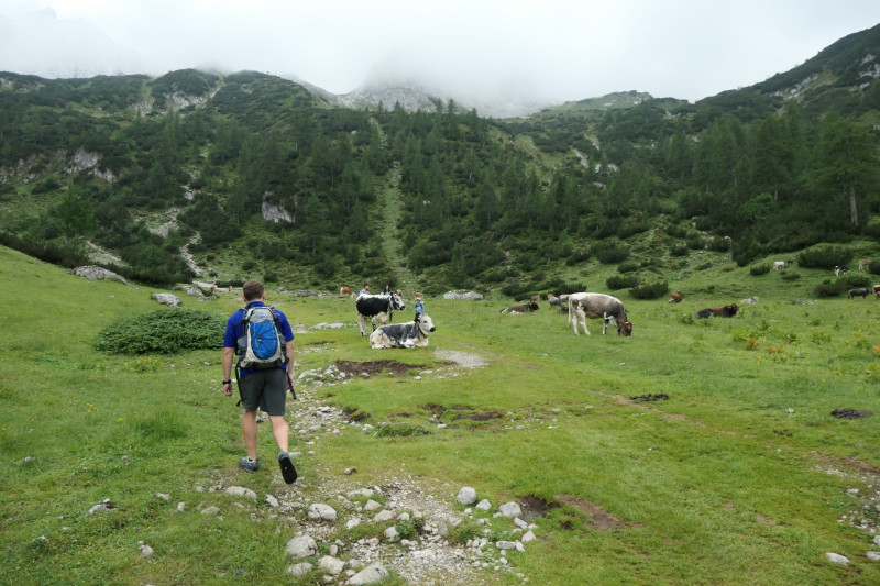 Ehrwald Almbahn - Ehrwalder Alm - Seebensee - Coburger Htte - Ehrwald Almbahn