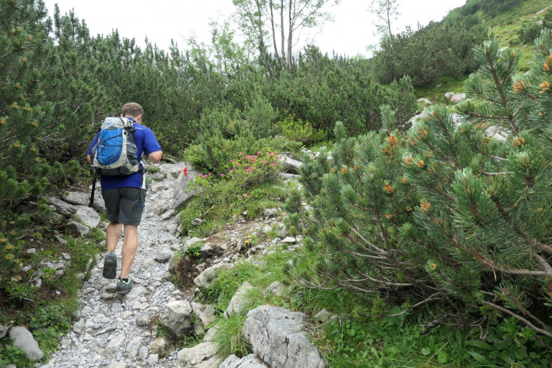Ehrwald Almbahn - Ehrwalder Alm - Seebensee - Coburger Htte - Ehrwald Almbahn