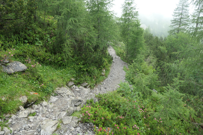 Ehrwald Almbahn - Ehrwalder Alm - Seebensee - Coburger Htte - Ehrwald Almbahn