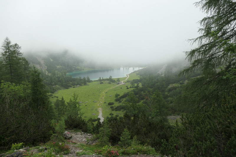 Ehrwald Almbahn - Ehrwalder Alm - Seebensee - Coburger Htte - Ehrwald Almbahn