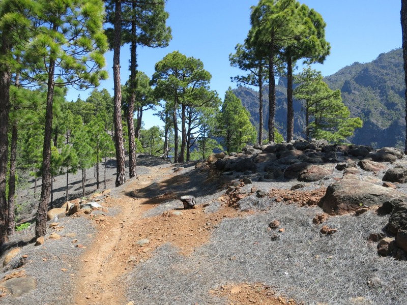 El Barrial - Pico Bejenado