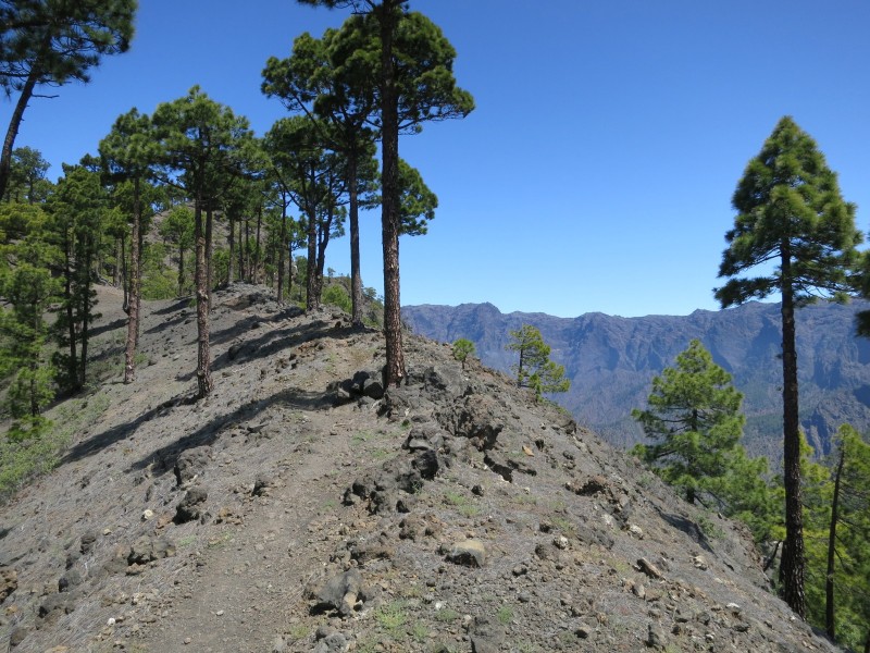 El Barrial - Pico Bejenado