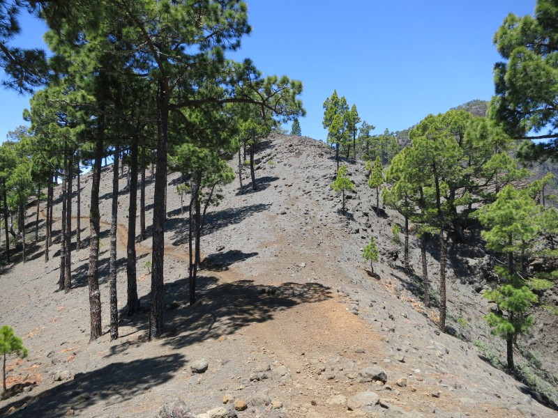 El Barrial - Pico Bejenado